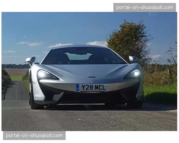 数据分析：迈凯伦MCL38长距离节奏或成墨尔本公园变数